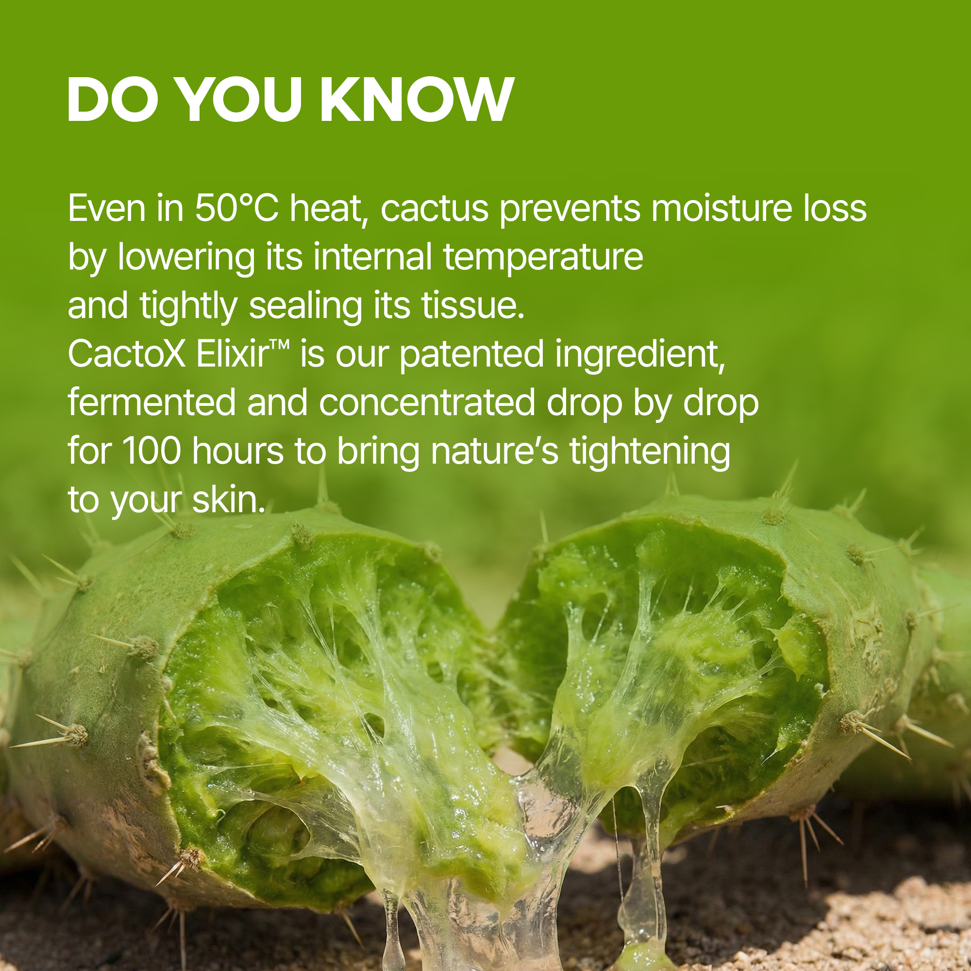 CACTOX V-Lifting Mewing Band 4EA